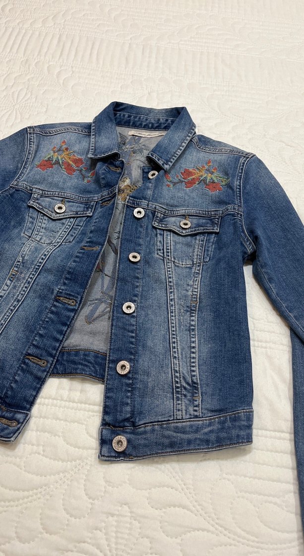 Nakışlı Mavi Kadın Denim Ceket - Görsel 3