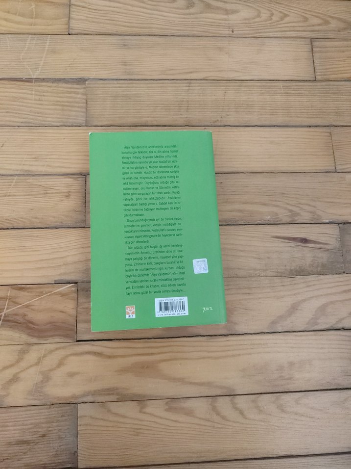 Müminlerin En Mümtaz Annesi AİSE Kitabı - Görsel 2