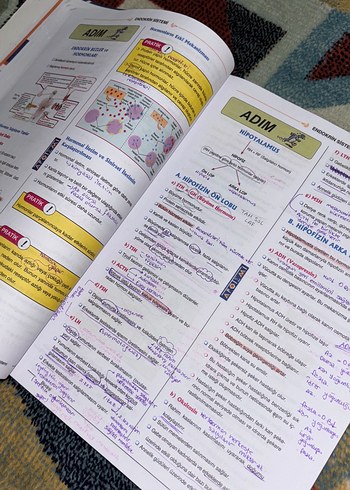 Sistemler Sınav Hazırlık Kitabı