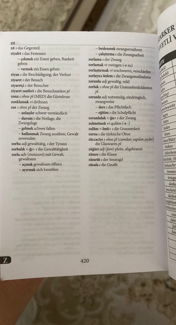 DAS Almanca-Türkçe Cep Sözlüğü - Görsel 3