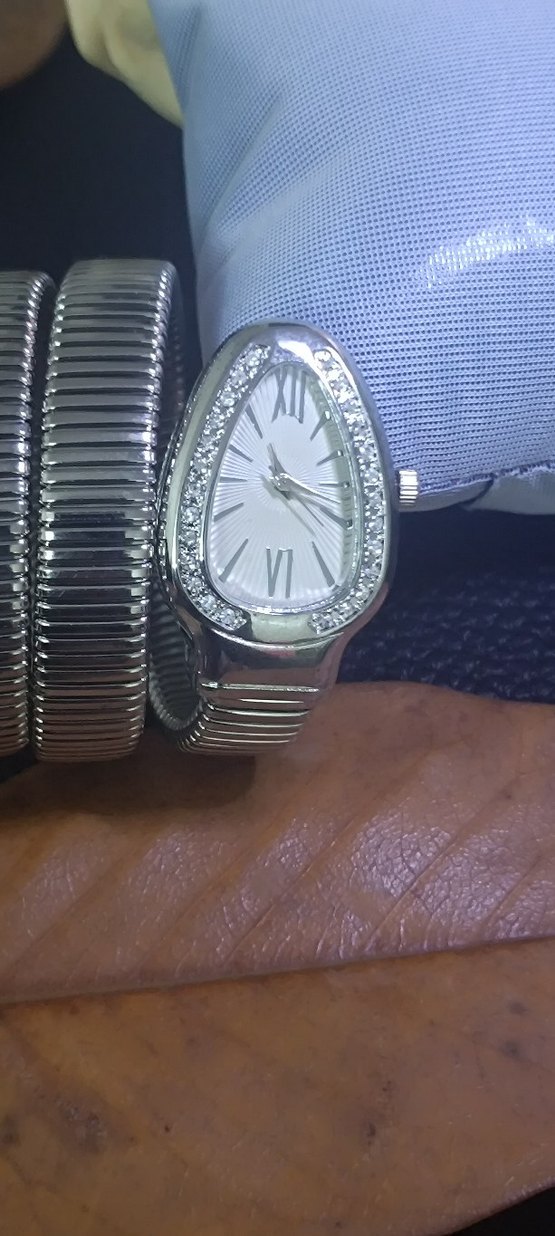 Bvlgari Yılan Model Taşlı Kemerli Gri Kadın Kol Saati - Görsel 5