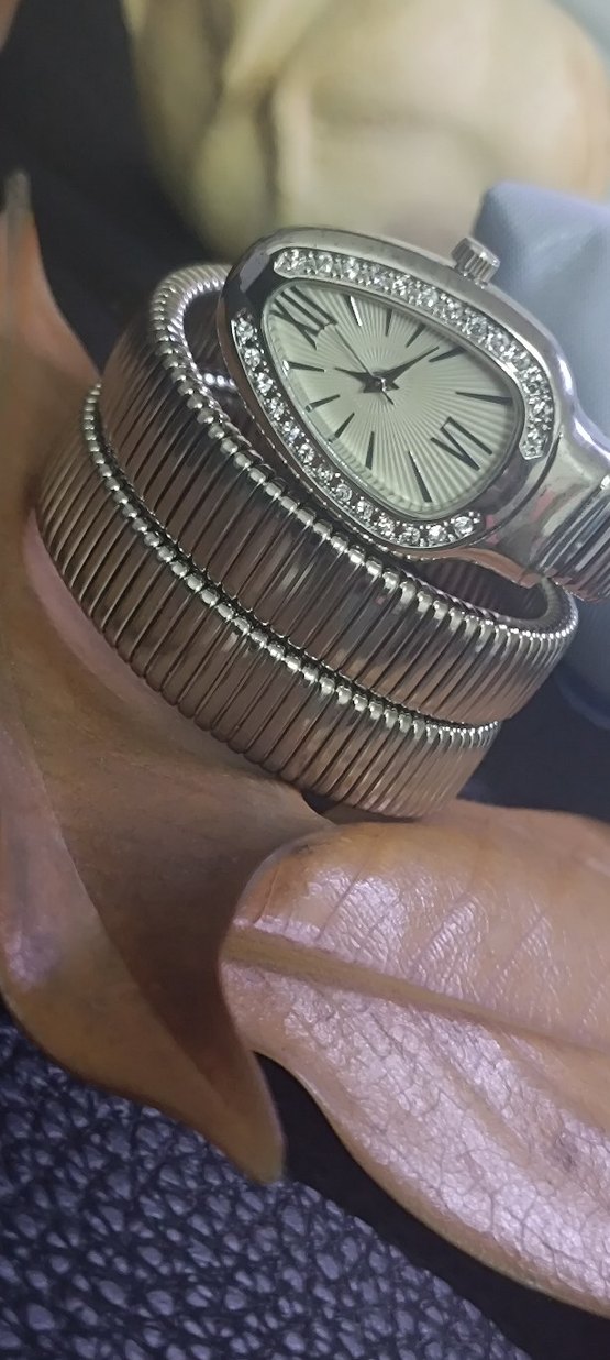 Bvlgari Yılan Model Taşlı Kemerli Gri Kadın Kol Saati - Görsel 2