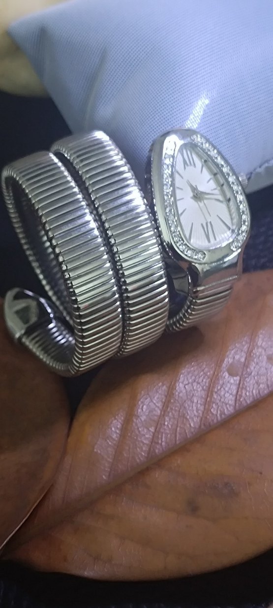 Bvlgari Yılan Model Taşlı Kemerli Gri Kadın Kol Saati - Görsel 4