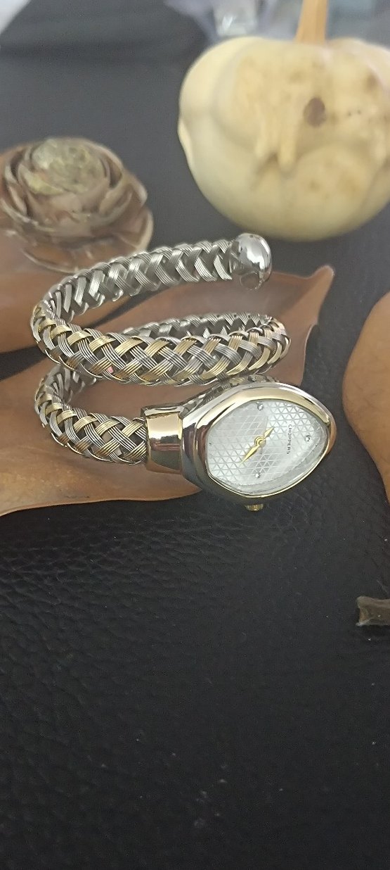 Bvlgari Model Yılanlı Klasik Kemerli Altın Gri Kadın Saati - Görsel 5