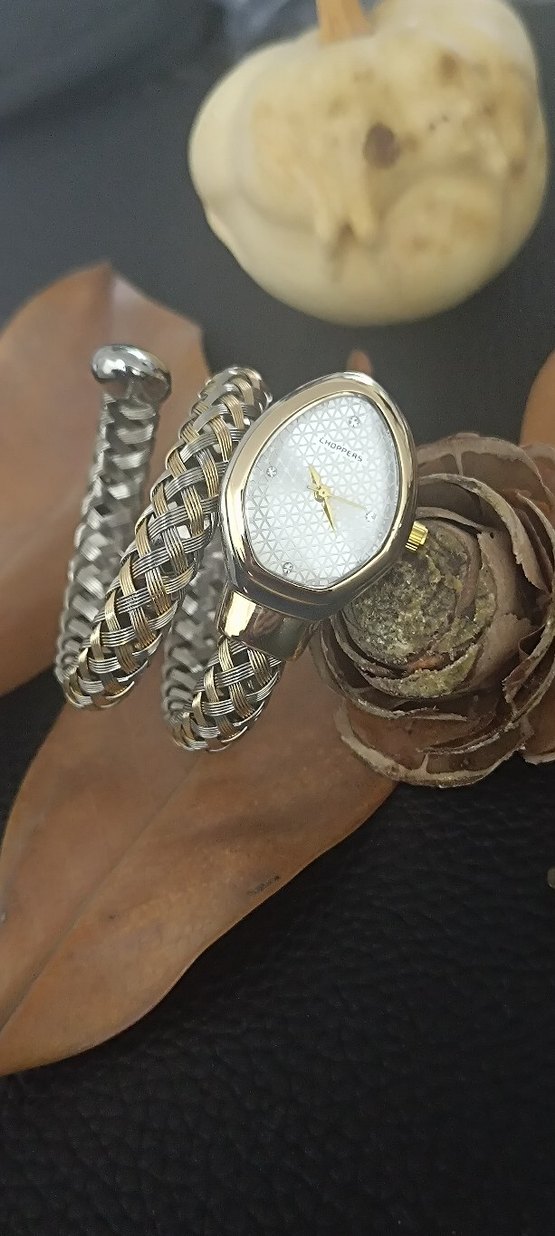 Bvlgari Model Yılanlı Klasik Kemerli Altın Gri Kadın Saati - Görsel 3