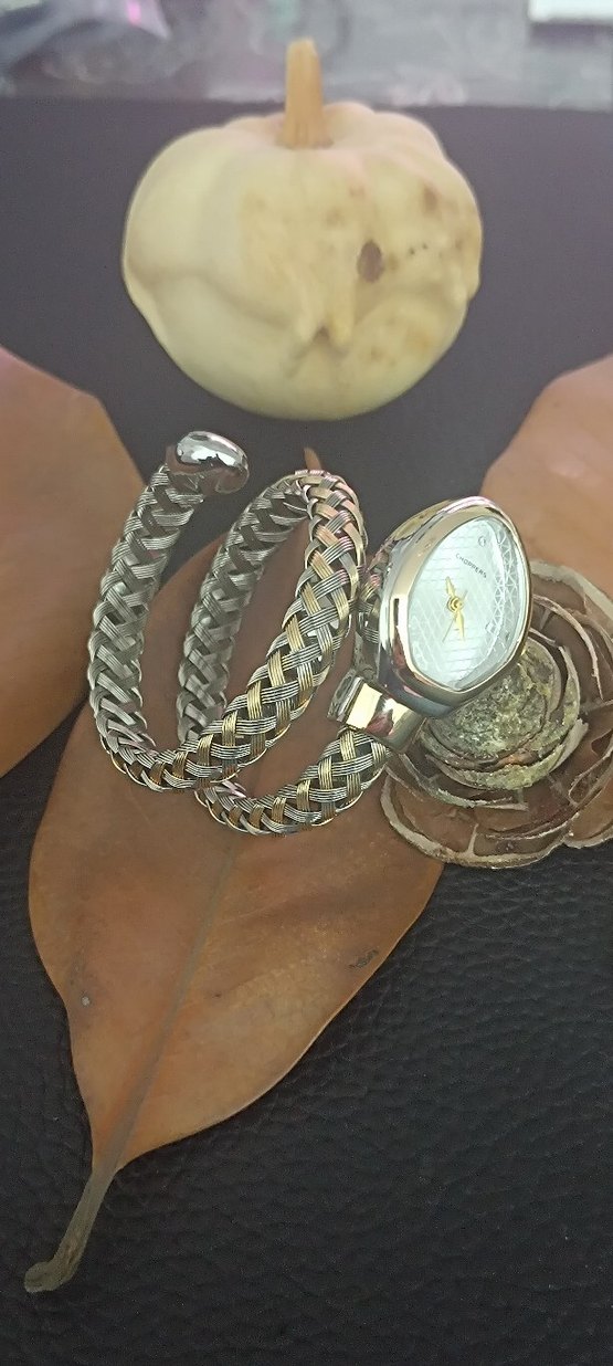 Bvlgari Model Yılanlı Klasik Kemerli Altın Gri Kadın Saati - Görsel 2