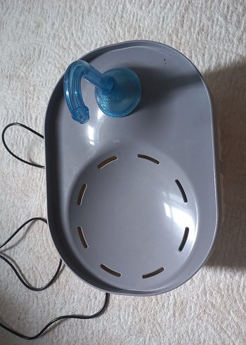kedi su pinari ve iki filtre