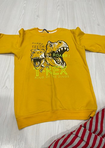 Sarı Baskılı Erkek Çocuk Sweatshirt - Görsel 3