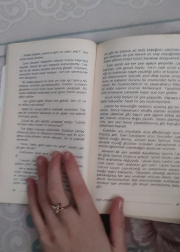 Lassie Çocuk Kitabı - Görsel 3