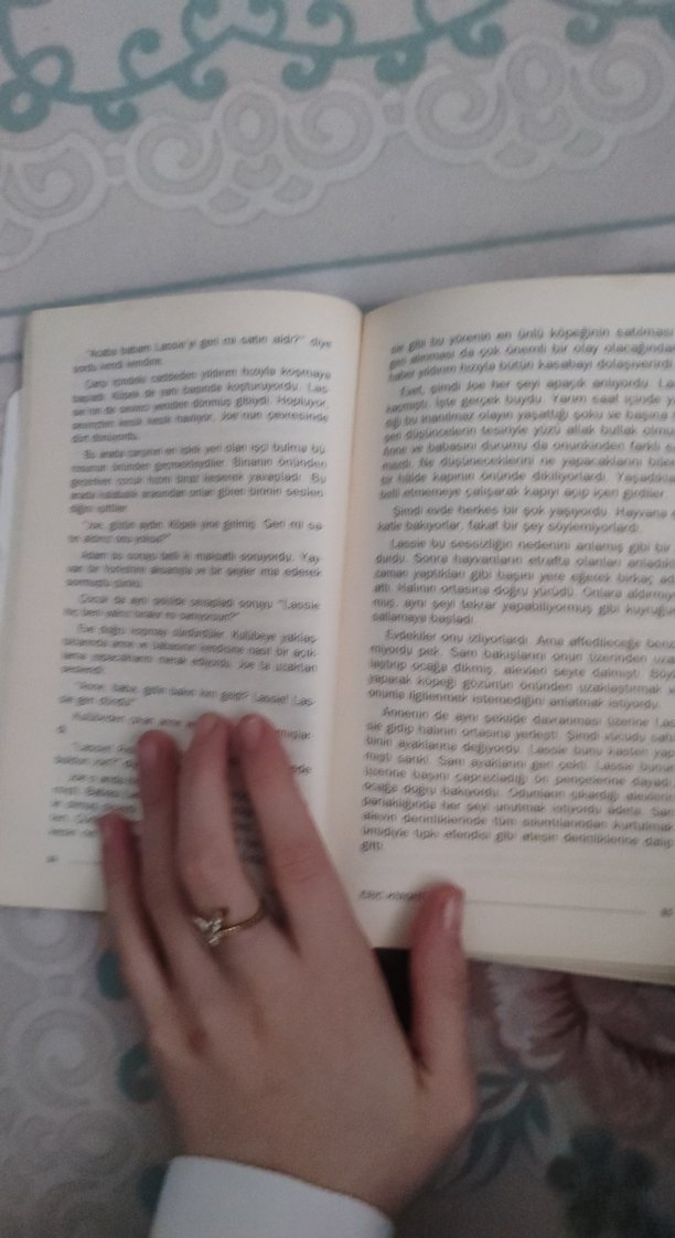 Lassie Çocuk Kitabı - Görsel 3