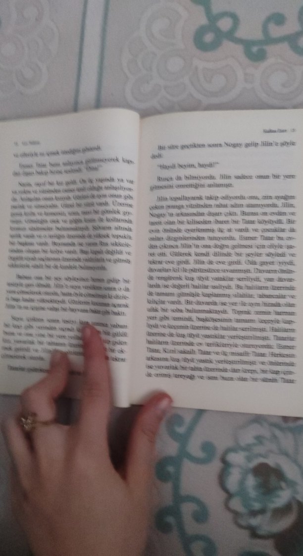 Lev Tolstoy - Kafkas Esiri - Görsel 3