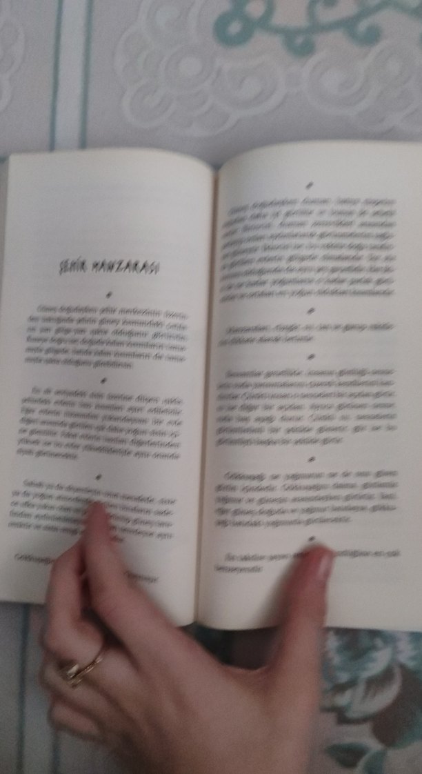 Da Vinci ve Saklı Not Defteri - Çocuk Kitabı - Görsel 3