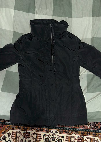 TOMMY HİLFİGER BAYAN MONT