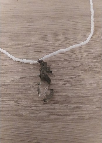 Beden Şeffaf Denizatı Detaylı Minimalist Kolye