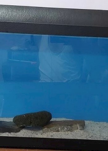 Siyah Cam Büyük Akvaryum