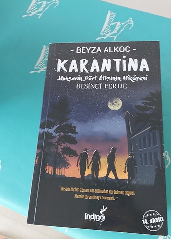 Beyza Alkoç - Karantina Romanı