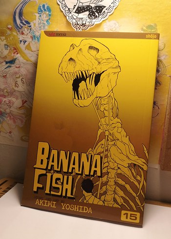 Banana Fish 15. Cilt (İngilizce)
