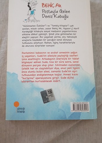 Postayla Gelen Deniz Kabuğu - Behiç Ak