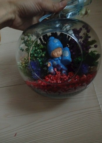 Renkli Cam Küre İçinde Dekoratif Bitkiler - Görsel 2