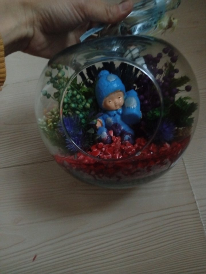 Renkli Cam Küre İçinde Dekoratif Bitkiler - Görsel 2