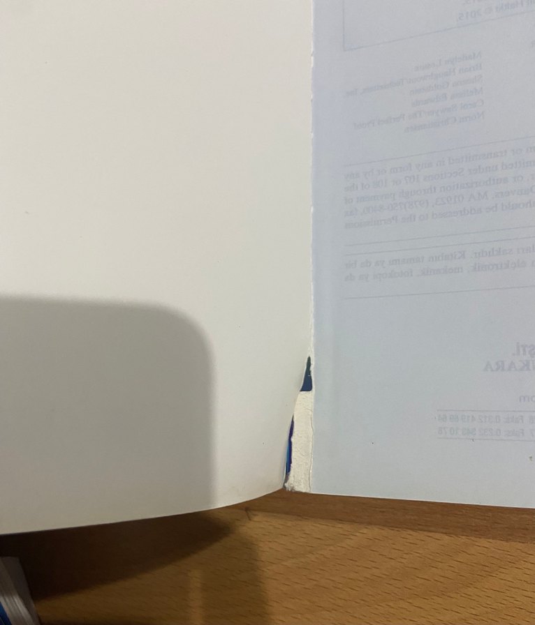 Elementer Lineer Cebir Uygulamalar Versiyonu Kitap - Görsel 2