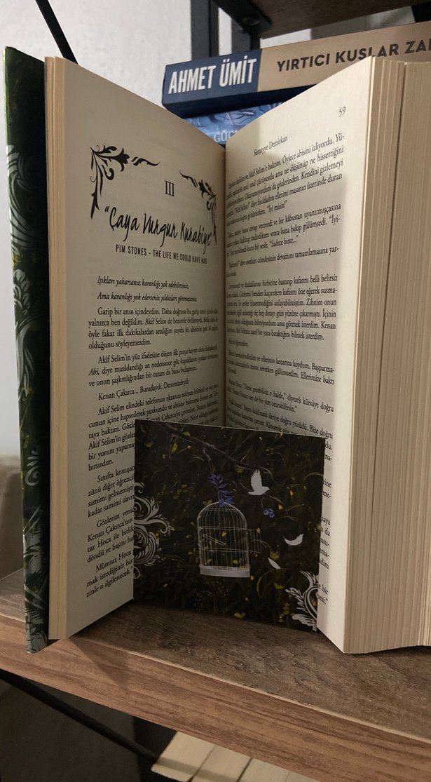 Mürekkebe Boyanan Sardunya II - Sümeyye Demirkan - Görsel 2