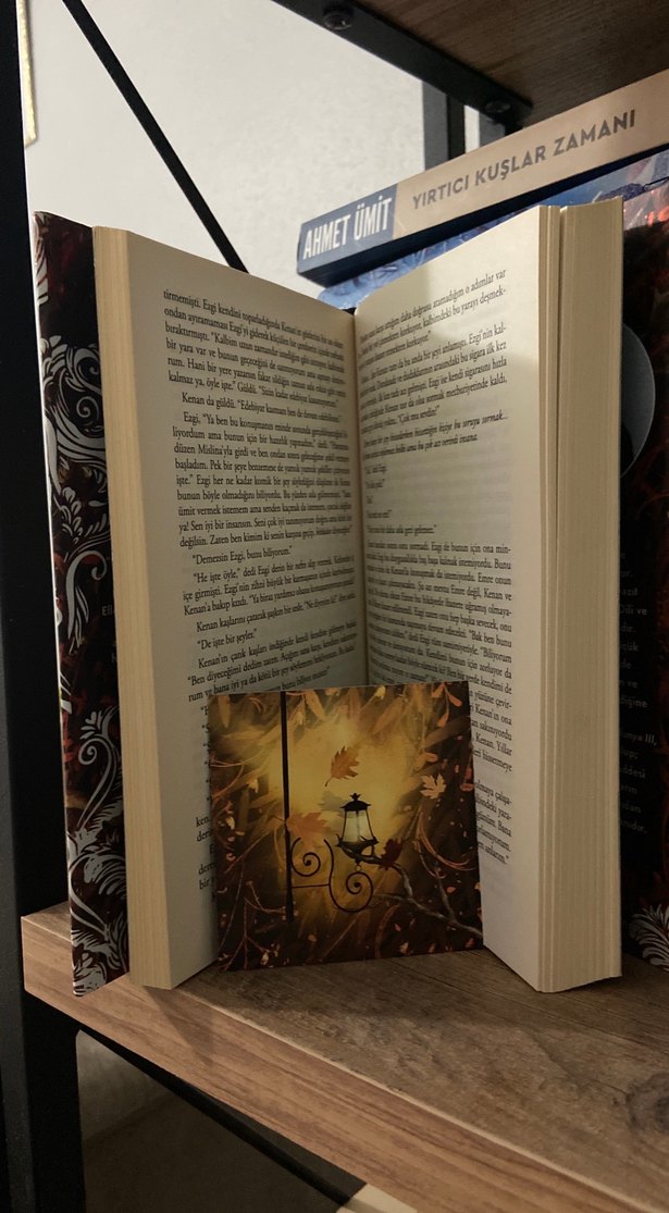 Mürekkebe Boyanan Sardunya III - Sümeyye Demirkan - Görsel 2