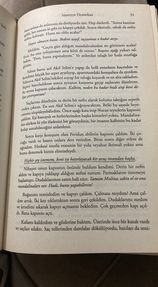 Mürekkebe Boyanan Sardunya - Sümeyye Demirkan - Görsel 2