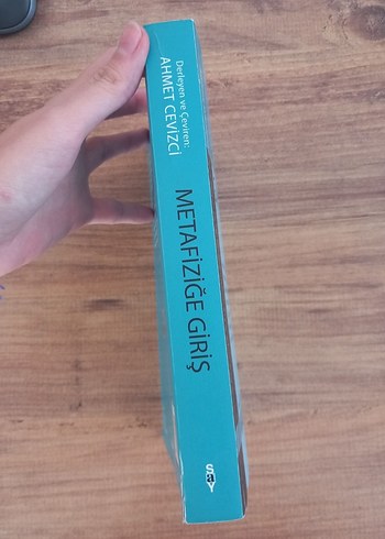 Metafiziğe Giriş - Ahmet Cevizci - Görsel 3