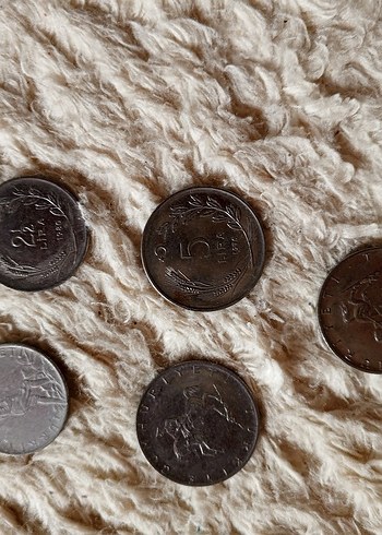 Beden Vintage Erkek Rozet Seti