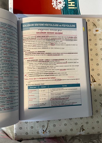 Fizyoloji, Histoloji ve Embriyoloji Kitabı - Görsel 3