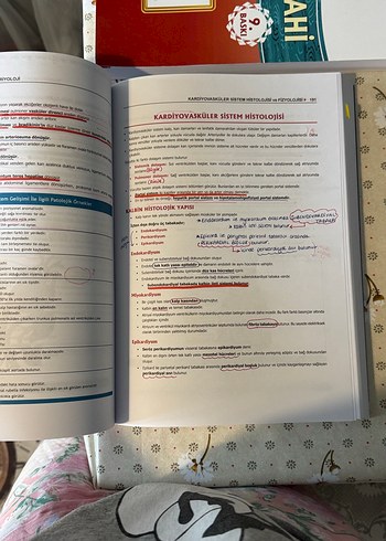 Fizyoloji, Histoloji ve Embriyoloji Kitabı - Görsel 4
