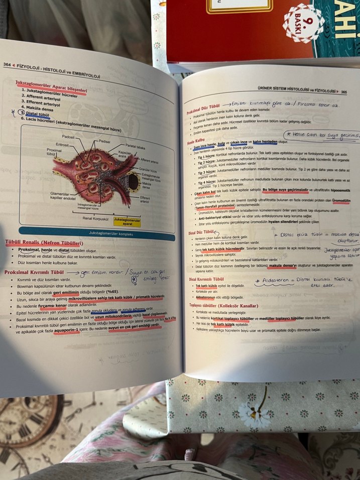 Fizyoloji, Histoloji ve Embriyoloji Kitabı - Görsel 2