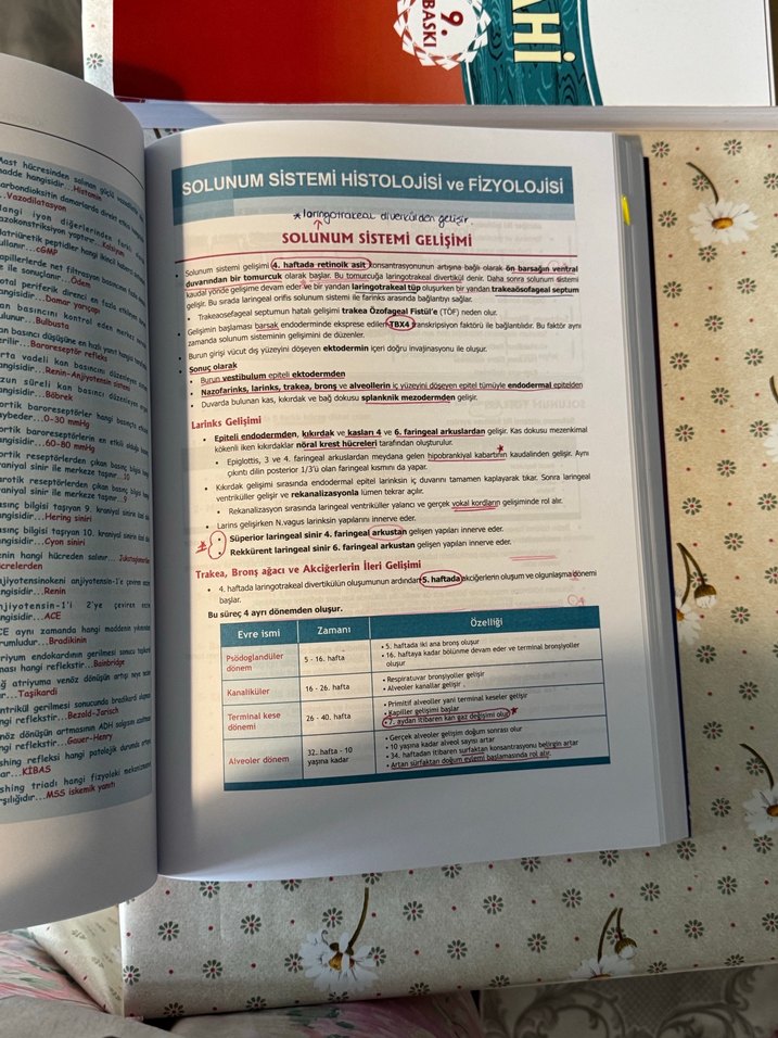 Fizyoloji, Histoloji ve Embriyoloji Kitabı - Görsel 3