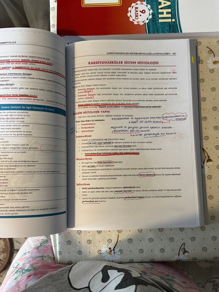 Fizyoloji, Histoloji ve Embriyoloji Kitabı - Görsel 4