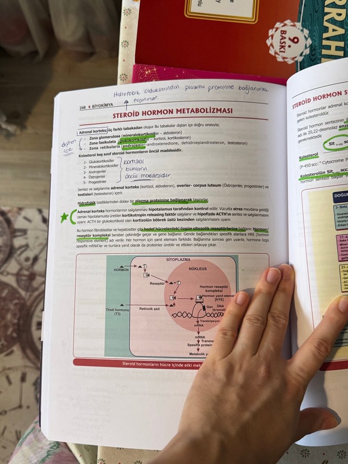 Biyokimya TUSDATA Sınav Kitabı - Görsel 2