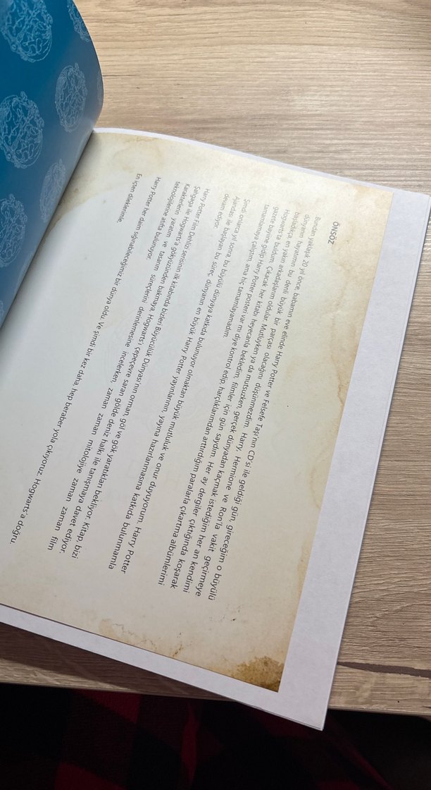 Harry Potter Film Rehberi: Orman, Göl ve Çok Yaratıkları - Görsel 3