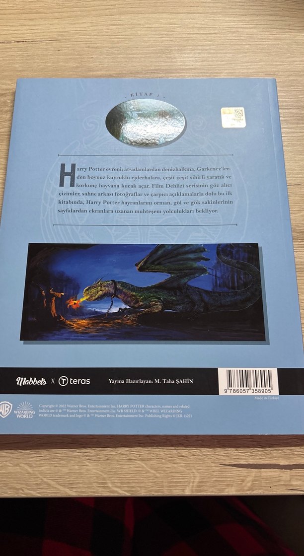 Harry Potter Film Rehberi: Orman, Göl ve Çok Yaratıkları - Görsel 2