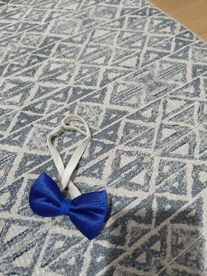 Mavi Erkek papyon - Görsel 3