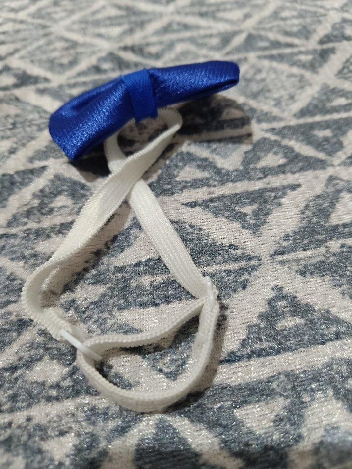 Mavi Erkek papyon - Görsel 2