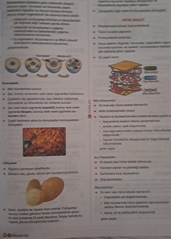  TYT Biyoloji 3D Video Destekli Defter