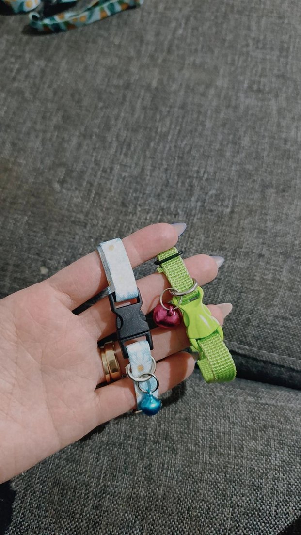 Renkli Çanlı Kedi Boyun Tasması - Görsel 3