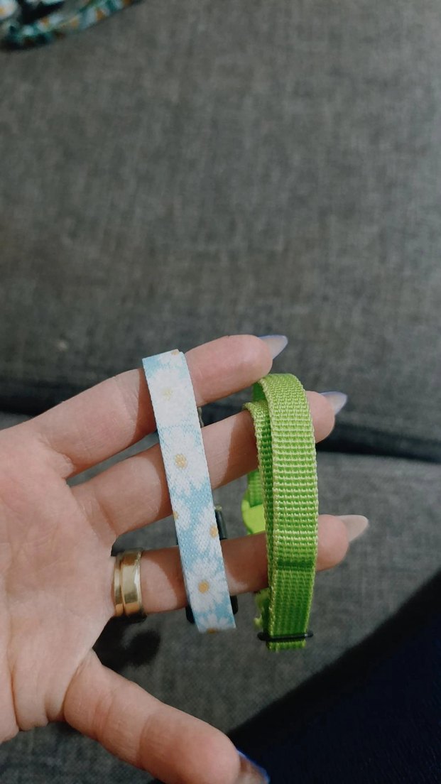 Renkli Çanlı Kedi Boyun Tasması - Görsel 2