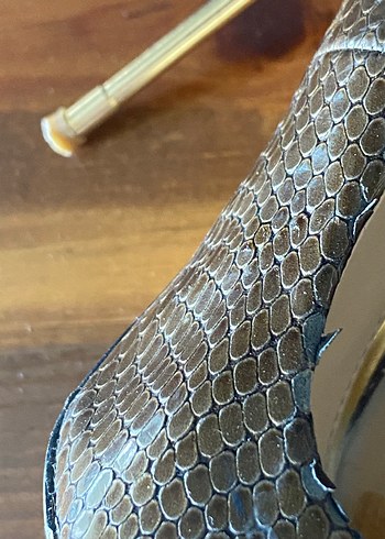 Kahverengi Yılan Desenli Tokalı Stiletto - Görsel 3