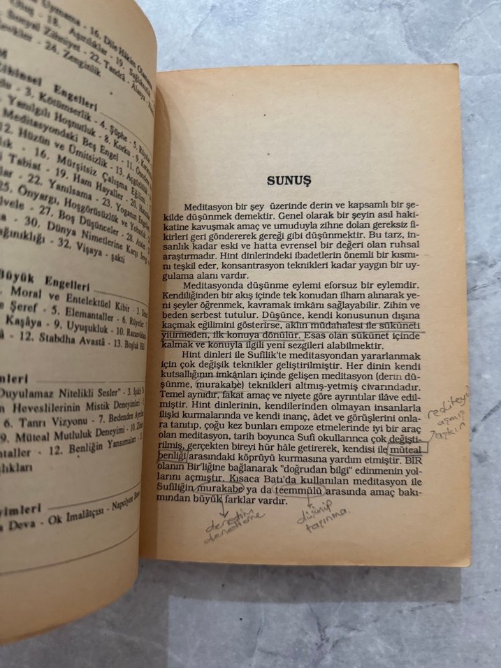 Meditasyon - Swami Sivananda Sarasvati - Görsel 2