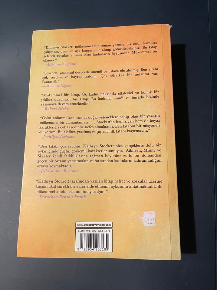 Yardımcı - Kathryn Stockett Roman - Görsel 2