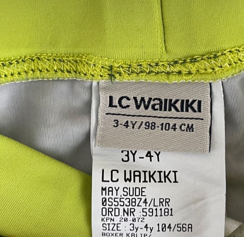 LCW Renkli Dinozor Baskılı Erkek Çocuk Mayo - Görsel 3