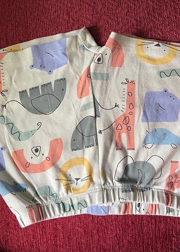 Zara Pastel Renkli Baskılı Takım - Görsel 3