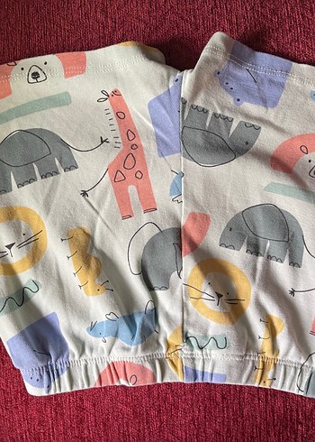 Zara Pastel Renkli Baskılı Takım - Görsel 4