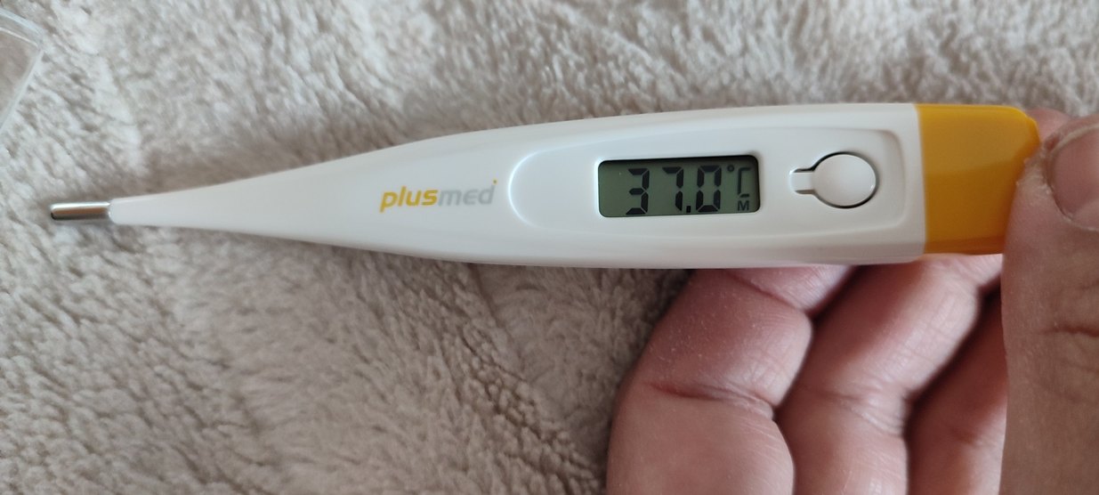 Plus Med Dijital Termometre Gri - Görsel 4